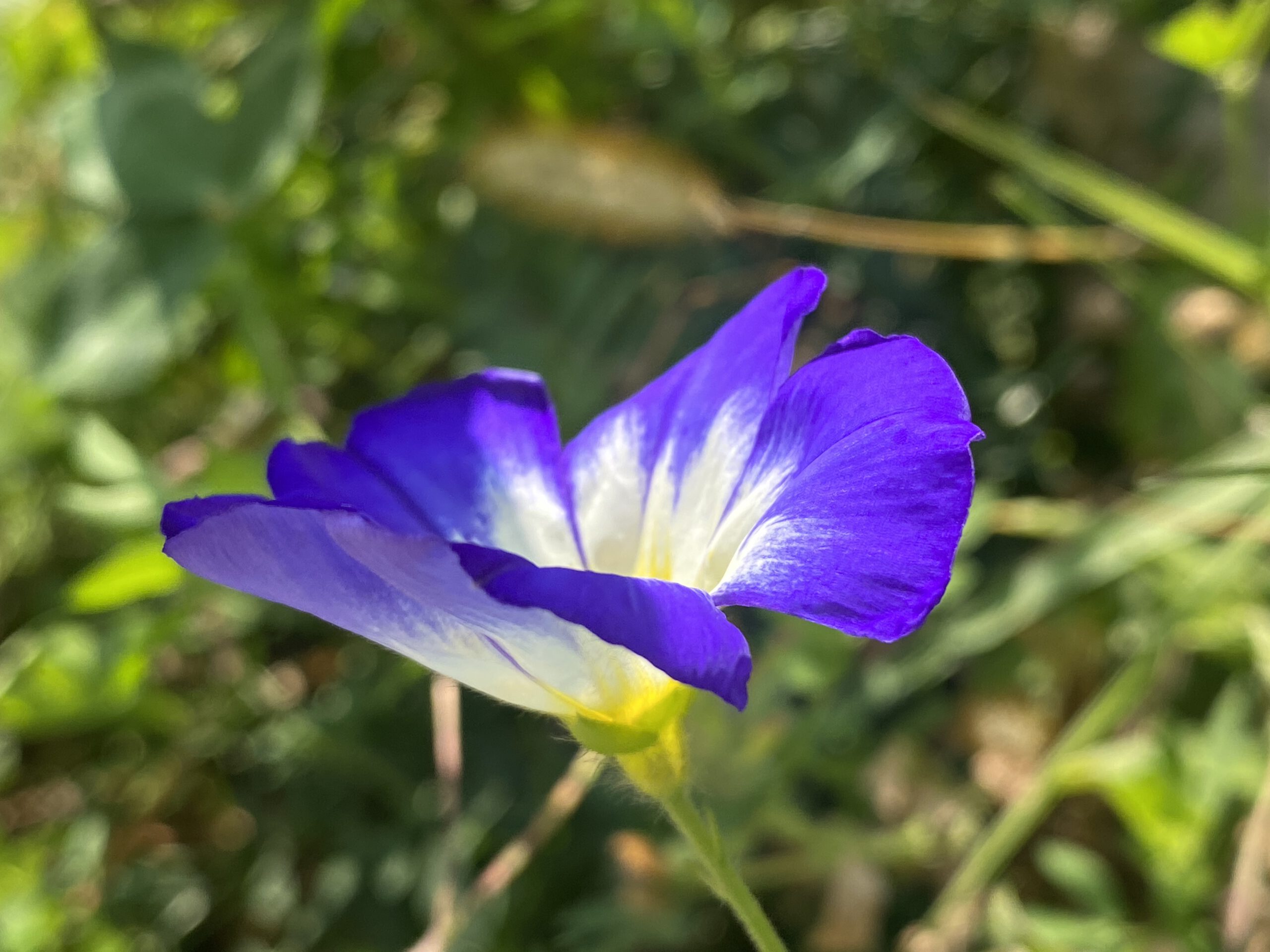 D36ED629-420A-42E7-A65D-F66B972CAE69